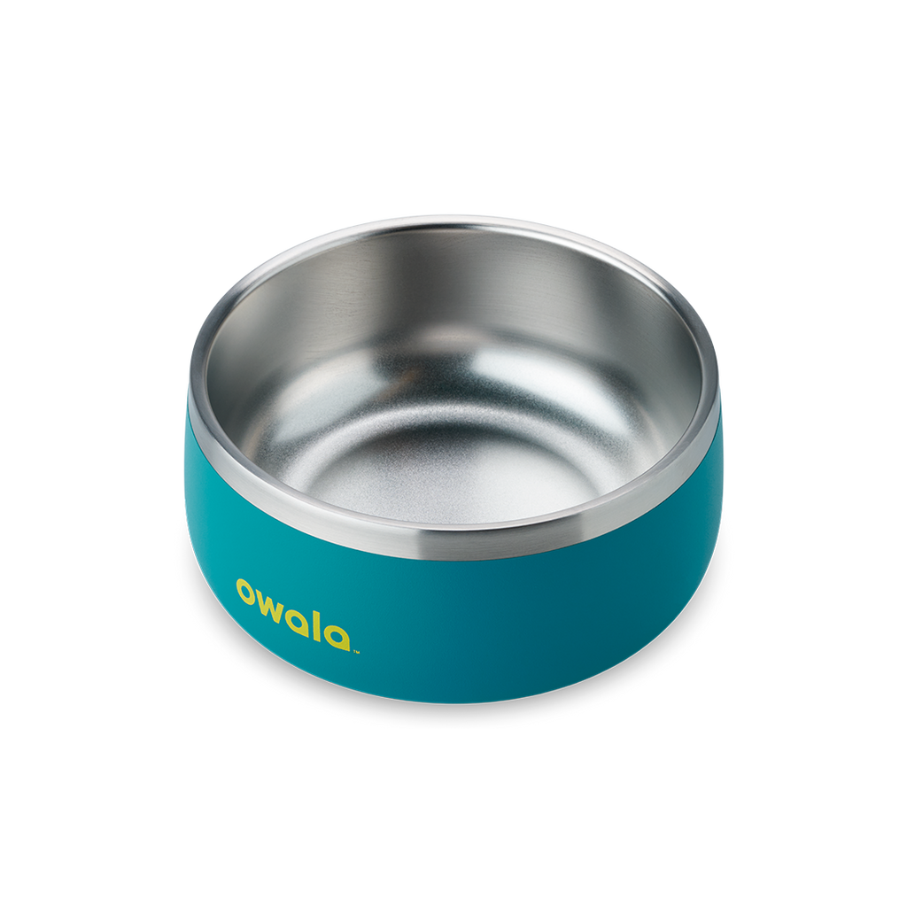Pet Bowl Turquoise & Caicos