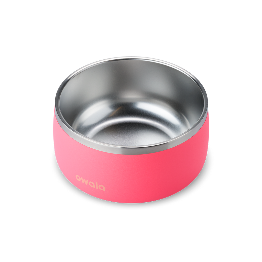 Pet Bowl Hyper Flamingo