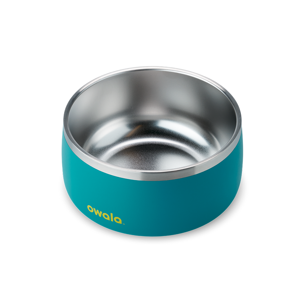 Pet Bowl Turquoise & Caicos