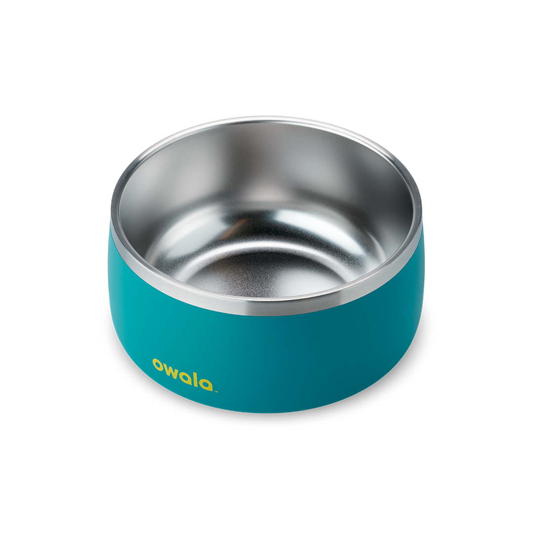 Pet Bowl Turquoise & Caicos