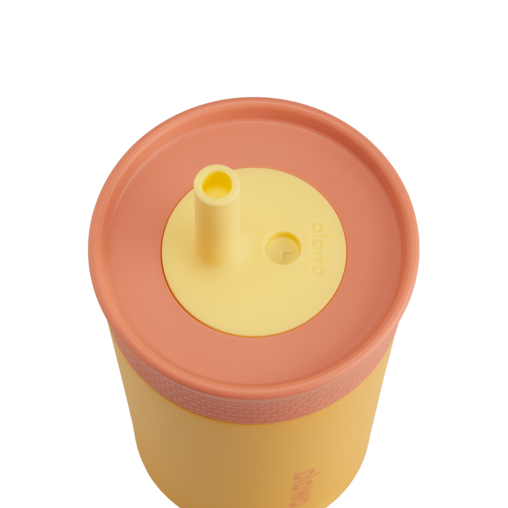 Kids¡¯ Tumbler Picnic