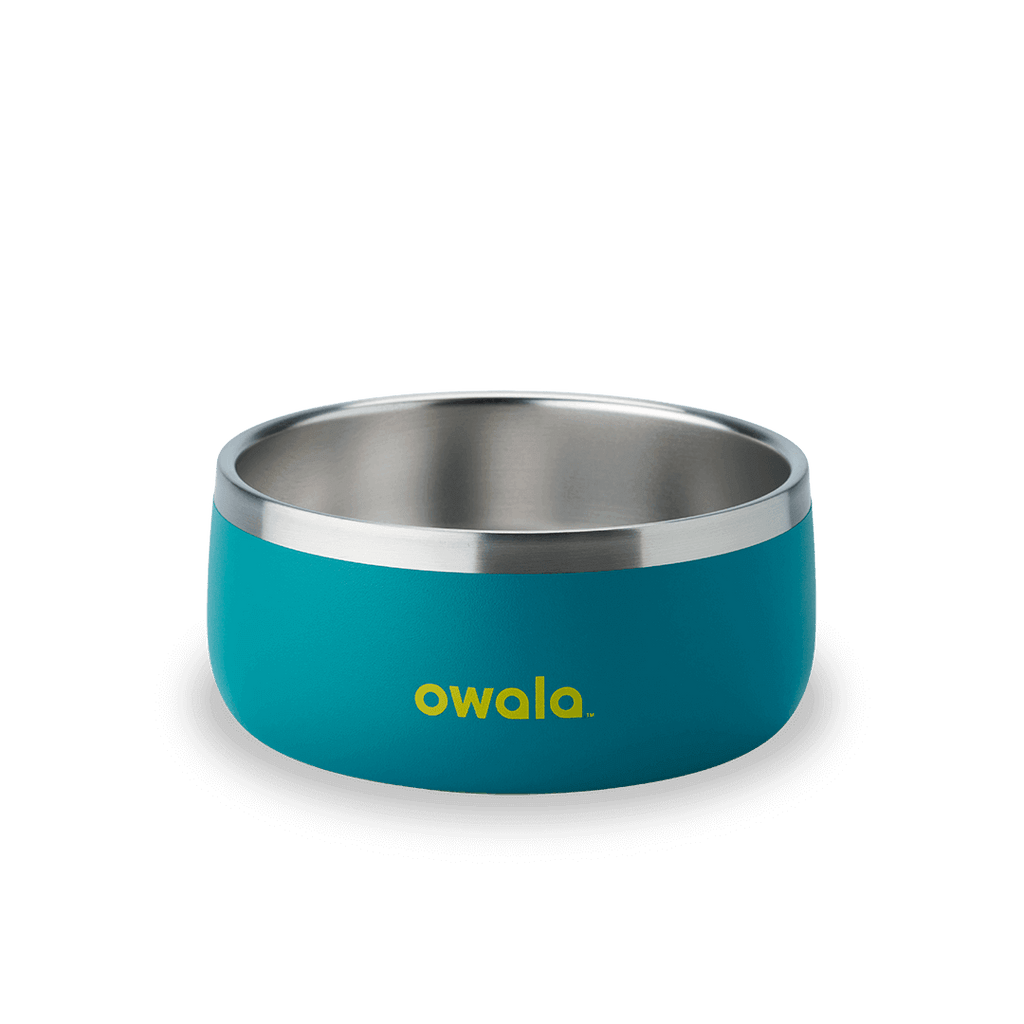 Pet Bowl Turquoise & Caicos